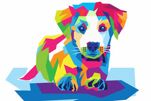 Are Dogs Color Blind?